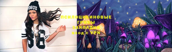 гашик Белокуриха