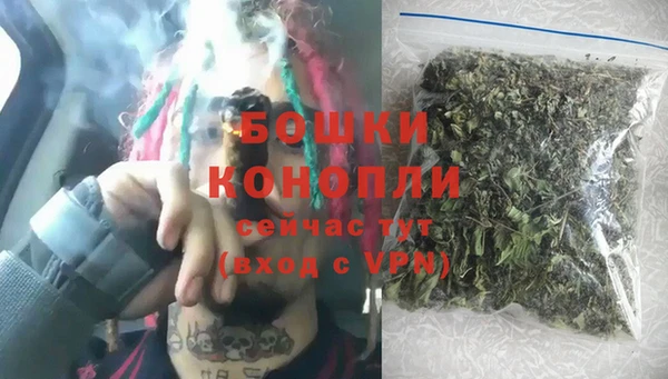 гашик Белокуриха