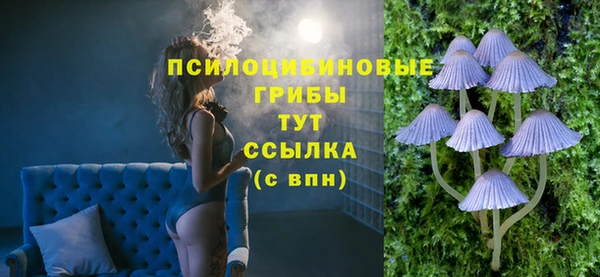 гашик Белокуриха