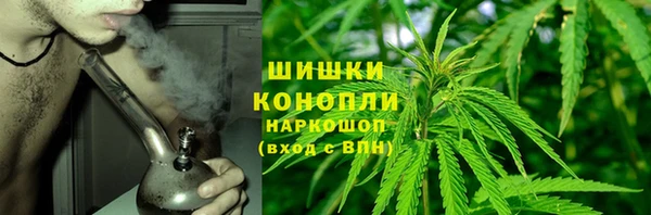 гашик Белокуриха